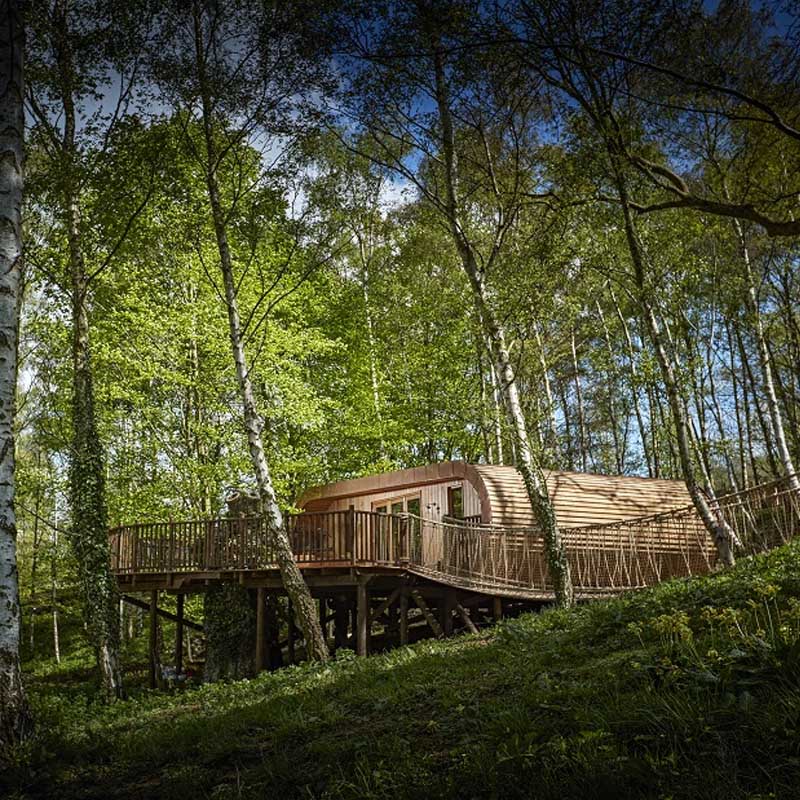 Treehouse accommodation at The Fish