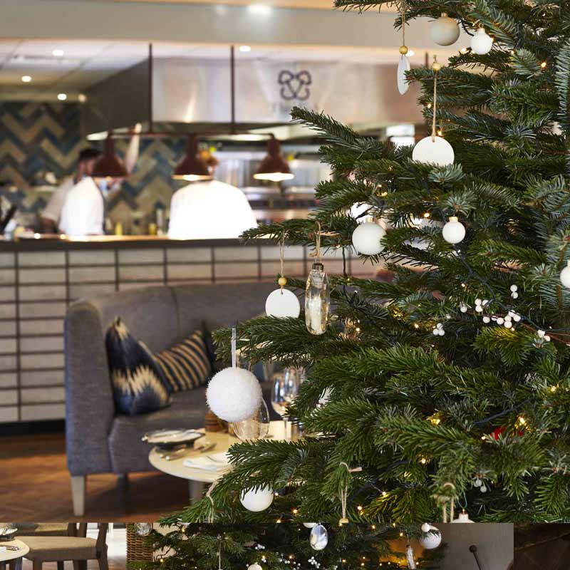 Fish hotel Christmas